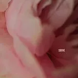 Lewis Capaldi Single CD Survive (#1)