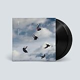 Giant Rooks Vinyl Rookery (2lp)