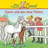 Conni CD 40: Conni Und Das Neue Fohlen