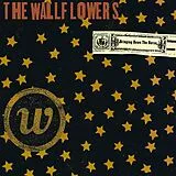 Wallflowers,The Vinyl Bringing Down The Horse