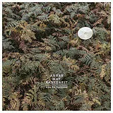 AnnenMayKantereit LP (Vinyl) Alles Nix Konkretes (Doppel-LP inkl. MP3-Code)