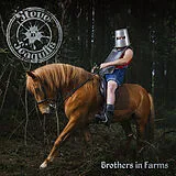 Steve'n'seagulls LP (analog) Brothers In Farms
