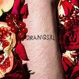 Drangsal LP (analog) Harieschaim (black Vinyl)
