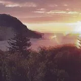 The Ocean Party LP (analog) Beauty Spot