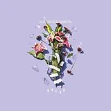 Slingshot Dakota Vinyl Break (Vinyl)