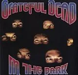 Grateful Dead LP (analog) In The Dark