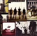 Hootie&The Blowfish LP (analog) Cracked Rear View(clear Vinyl)