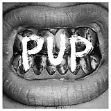 Pup LP (Vinyl) Pup