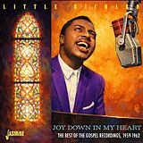 Little Richard CD Joy Down In My Heart - The Best Of Gospel Recordin