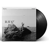 Delta Spirit LP (analog) What Is There