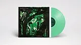 Buffalo Tom LP (analog) Birdbrain