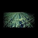 THE HAXAN CLOAK CD The Haxan Cloax