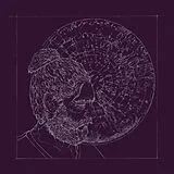 Nicolas Stocker Vinyl solo