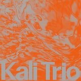 Kali Trio Vinyl The Playful Abstract