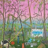 Caddywhompus Vinyl Odd Hours
