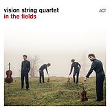 Vision String Quartet Vinyl In The Fields