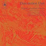 Destruction Unit LP (Vinyl) Negative Feedback Resistor (Vinyl)