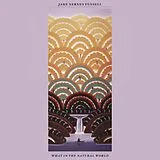 Jake Xerxes Fussell CD What In The Natural World