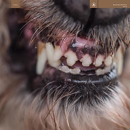 Blanck Mass CD World Eater