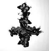 Monarch Vinyl Never Forever