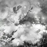 Exitmusic LP (analog) The Recognitions