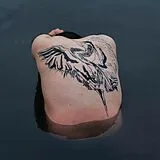 JODI LP (analog) Blue Heron