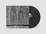 PILE Vinyl Sunshine And Balance Beams