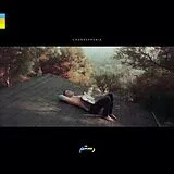 Rostam Vinyl Changephobia