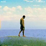 ROGE LP (analog) Curyman