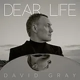 David Gray LP (analog) Dear Life
