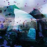 Reinier Van Houdt LP (analog) Igitur Carbon Copies (feat David Tibet)