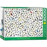 The World of Birds Spiel