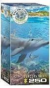 Dolphins Spiel