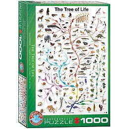 The Tree of Life Spiel