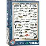 Süßwasserfische Spiel