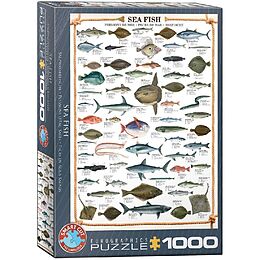 Seefische Spiel