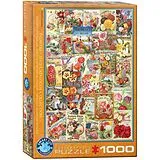 Flower Seed Catalog Covers Spiel