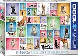 Yoga Dogs (Puzzle) Spiel