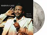 Marvin Gaye LP (analog) Alive In America (clear Marble Vinyl)