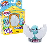 Surprise Chick blaues Ei Little Spiel