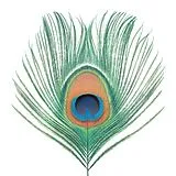 XTC LP (analog) Apple Venus (vol 1) (200 Gramm Vinyl)