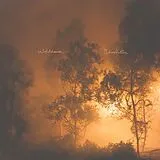 Watchhouse CD Blindfaller