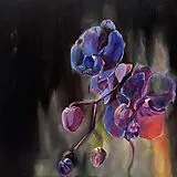 Why Bonnie CD Wish On The Bone