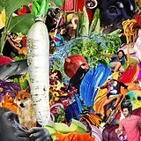 Jetski CD The Radiant Radish