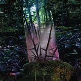 Jensen Sportag LP (Vinyl) Stealth Of Days