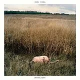 Sinai Vessel LP (Vinyl) Brokenlegged (Vinyl)