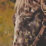 Spirit Of The Beehive CD Pleasure Suck
