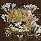 Prawn LP (Vinyl) Run (Vinyl)
