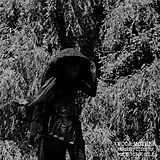 Moor Mother LP (Vinyl) Analog Fluids Of Sonic Black Holes (Vinyl)