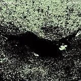 Jaye Jayle CD No Trail And Other Unholy Paths